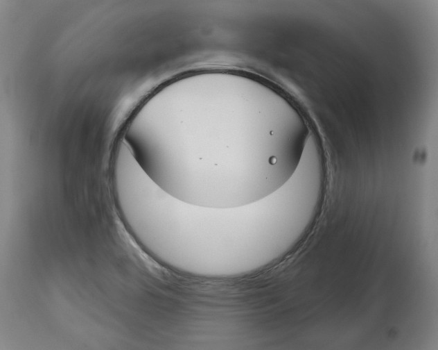 X0000114441464200911131505