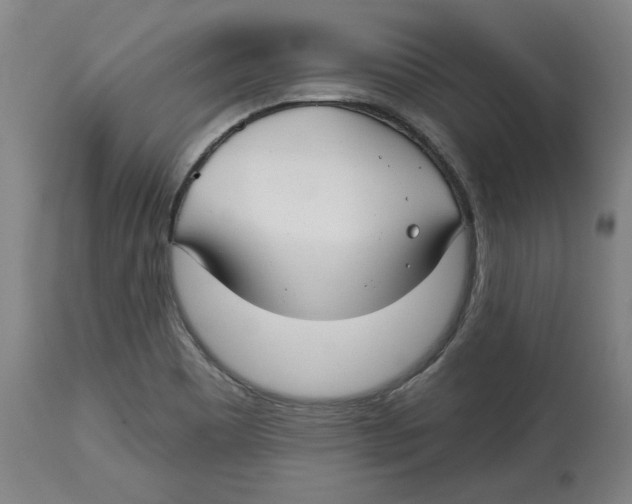 X0000114441465200911131505