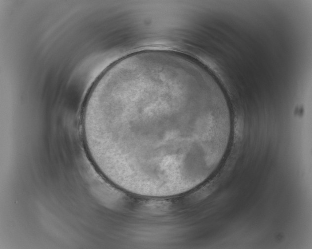 X0000114441466200911131505