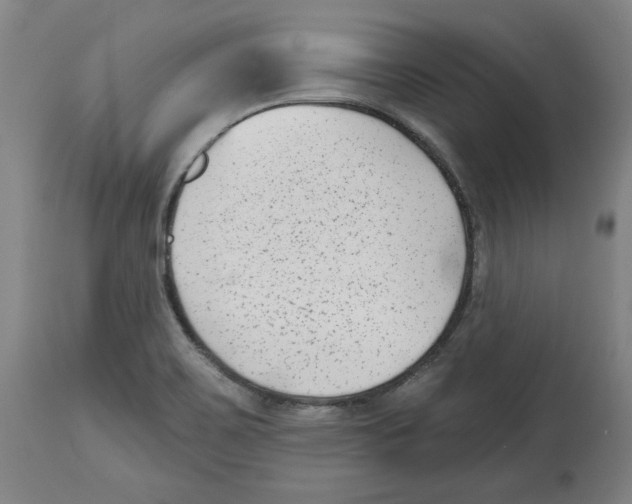 X0000114441467200911131505