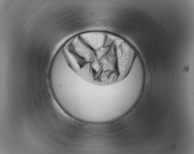 X0000114441468200911131505