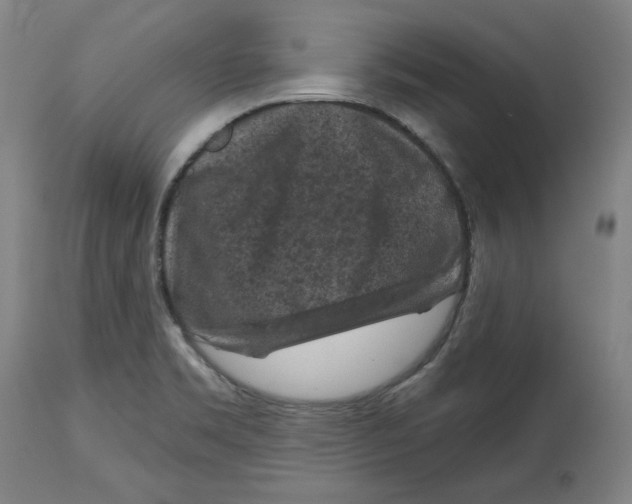 X0000114441469200911131505