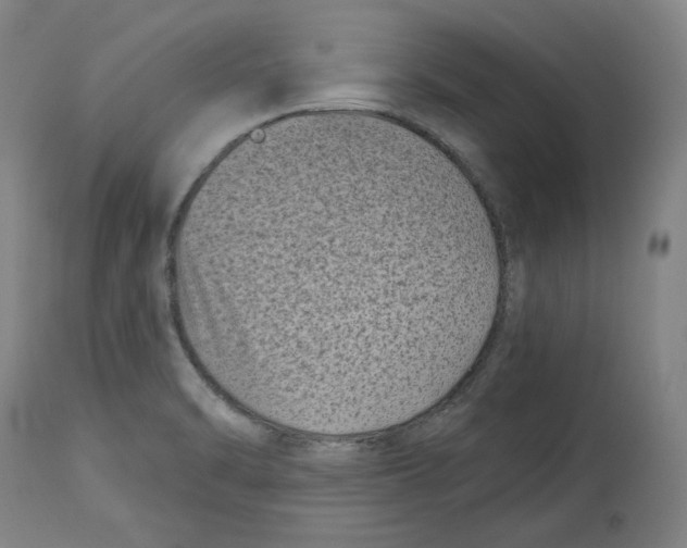 X0000114441470200911131505