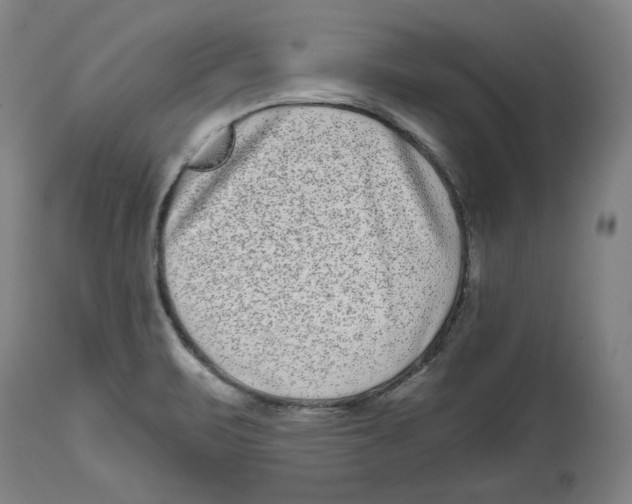 X0000114441471200911131505