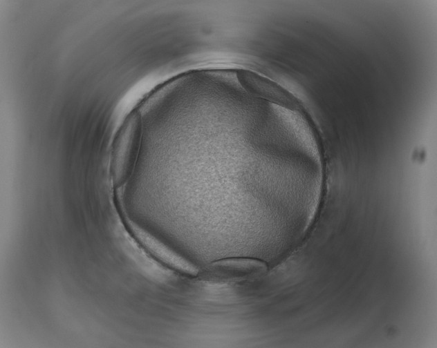 X0000114441472200911131505