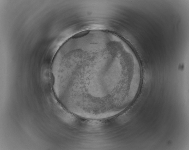 X0000114441473200911131505