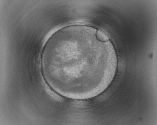 X0000114441474200911131505