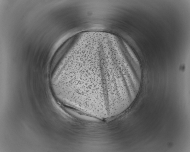 X0000114441475200911131505