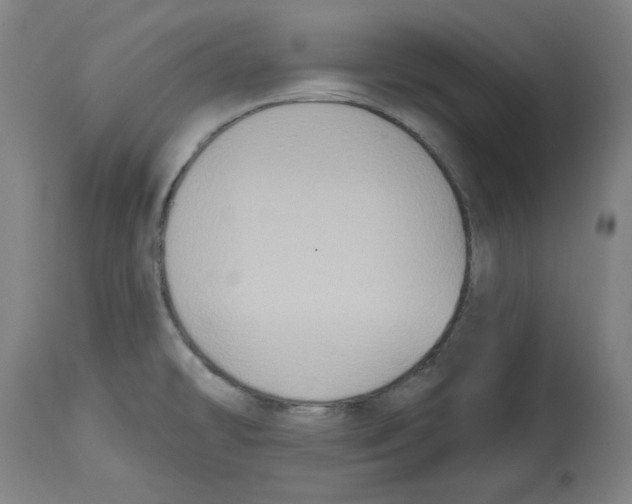 X0000114441478200911131504