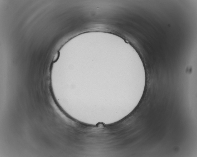 X0000114441479200911131504