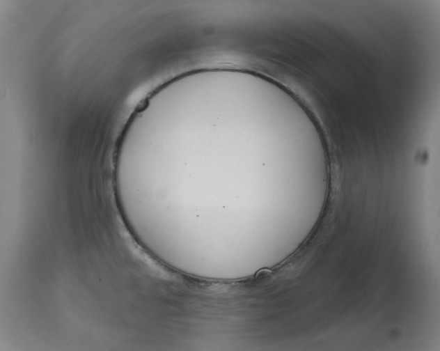 X0000114441480200911131504