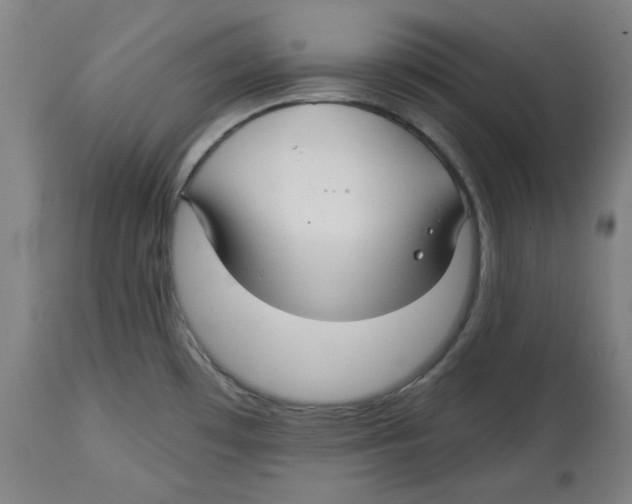 X0000114441481200911131504