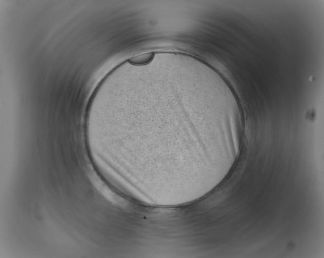 X0000114441482200911131504