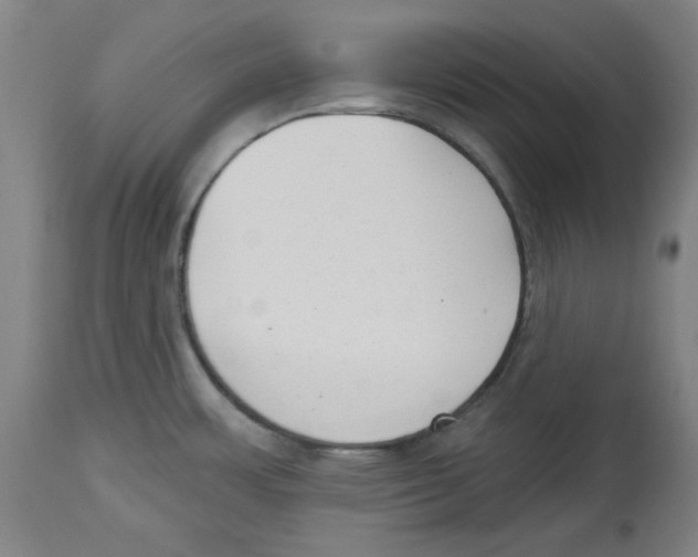 X0000114441483200911131504