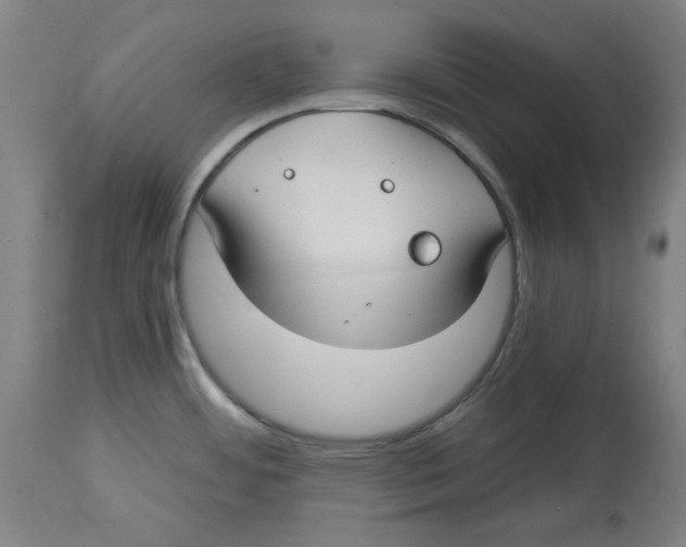 X0000114441484200911131504