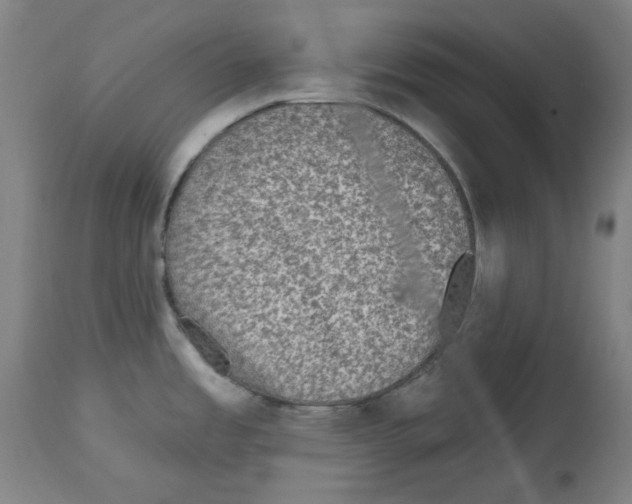 X0000114441485200911131504