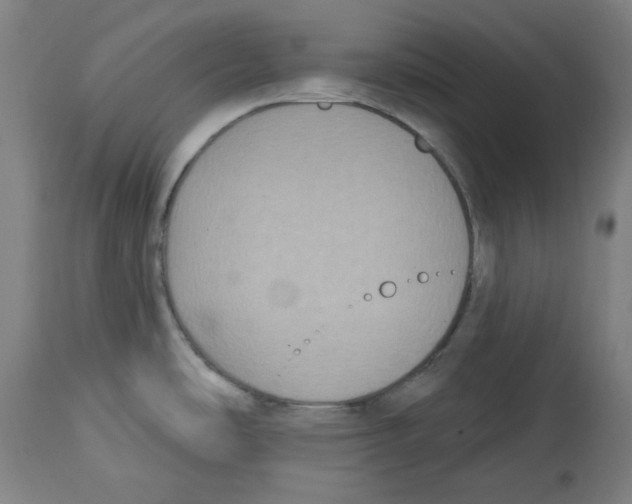 X0000114441486200911131504