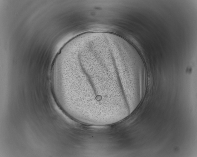 X0000114441487200911131504