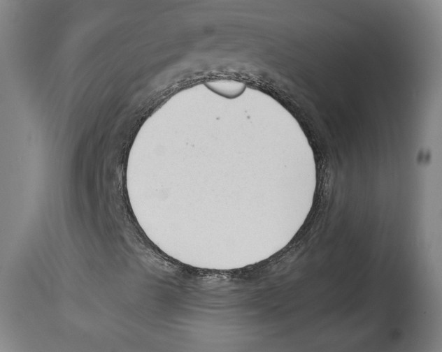 X0000114441489200911131504