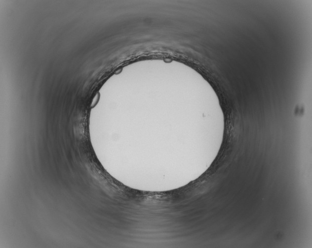 X0000114441490200911131504