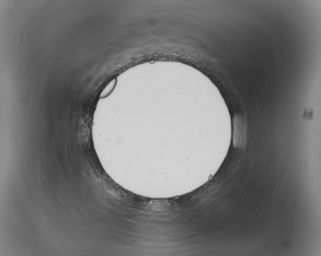 X0000114441491200911131504