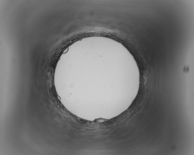 X0000114441493200911131504