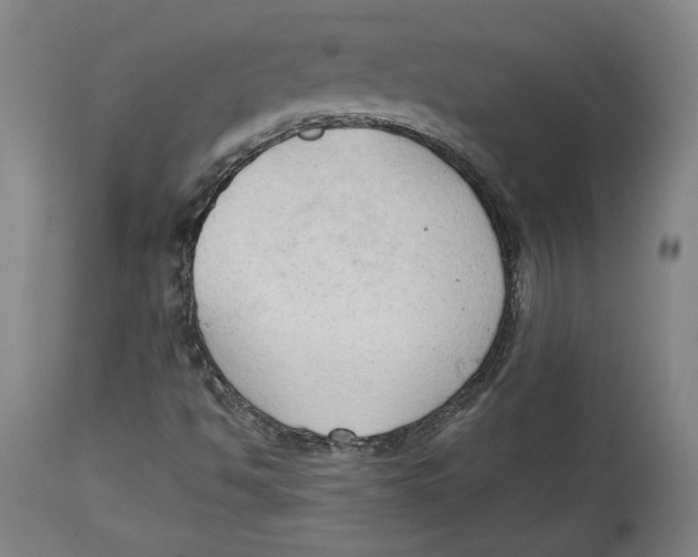 X0000114441494200911131504