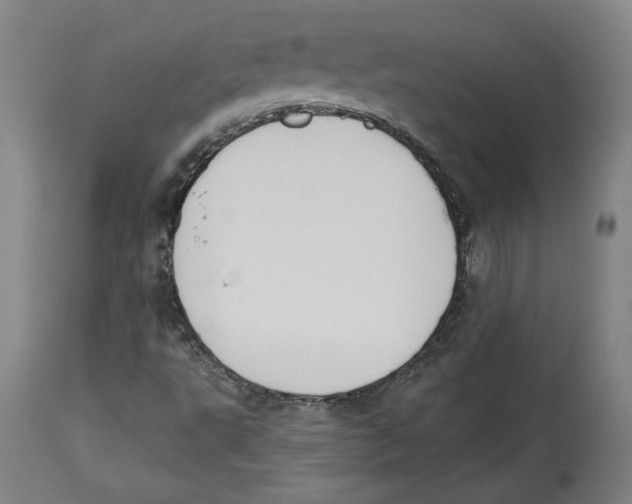 X0000114441495200911131504