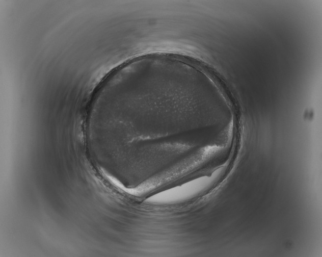 X0000114441497200911131504