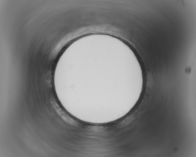 X0000114441499200911131504