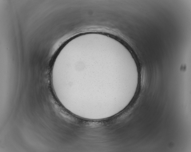 X0000114441501200911131504