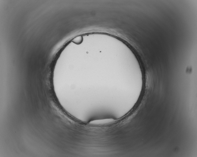 X0000114441502200911131504