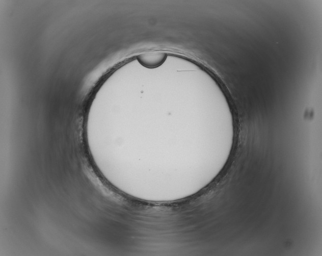 X0000114441503200911131504