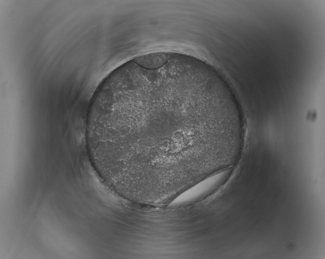 X0000114441505200911131504