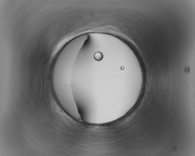 X0000114441506200911131504