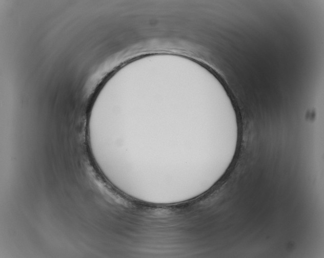 X0000114441507200911131504