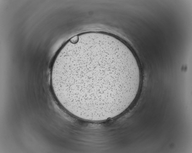 X0000114441509200911131504