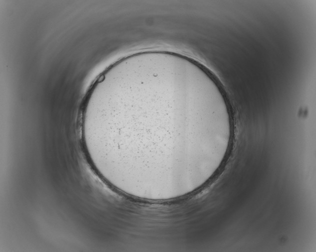 X0000114441510200911131504