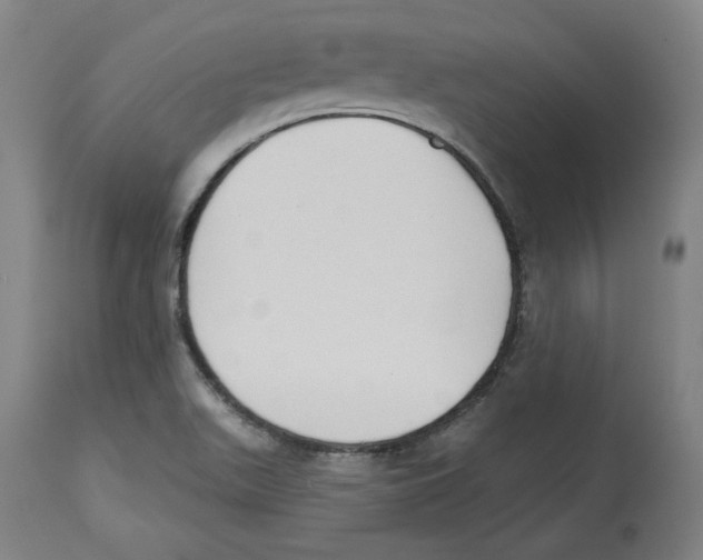 X0000114441511200911131504