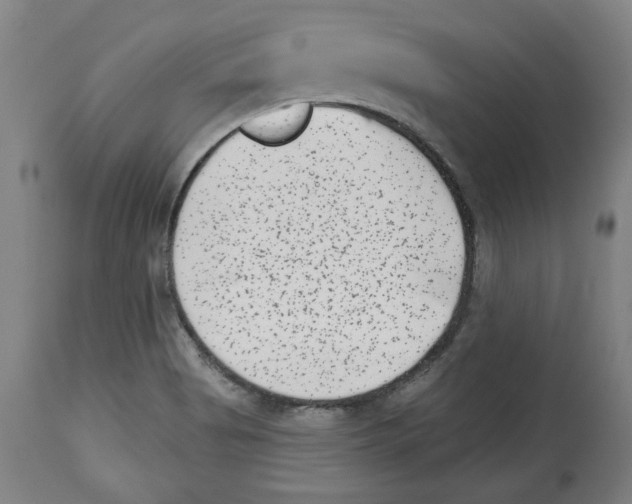 X0000114441513200911131504