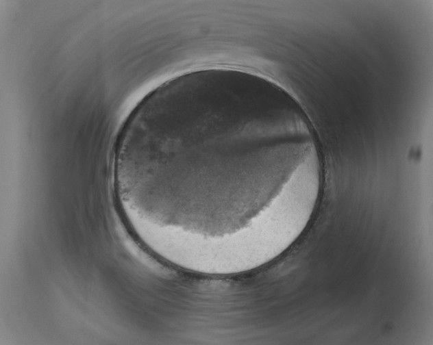 X0000114441515200911131504