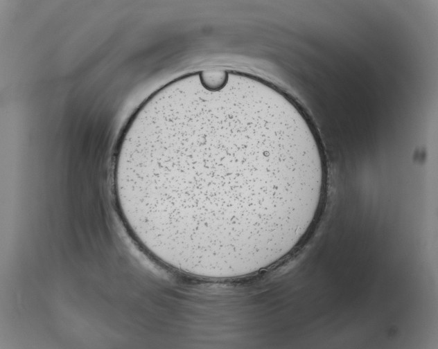 X0000114441517200911131504