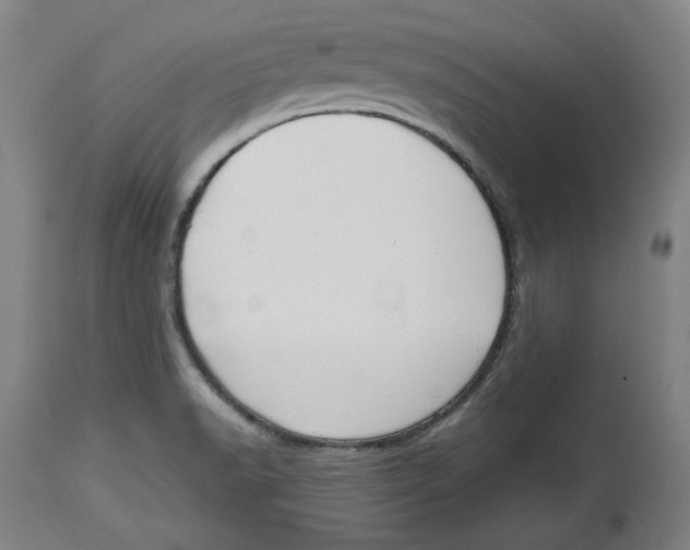 X0000114441518200911131504