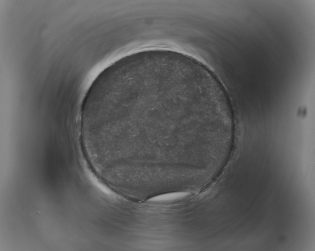 X0000114441519200911131504