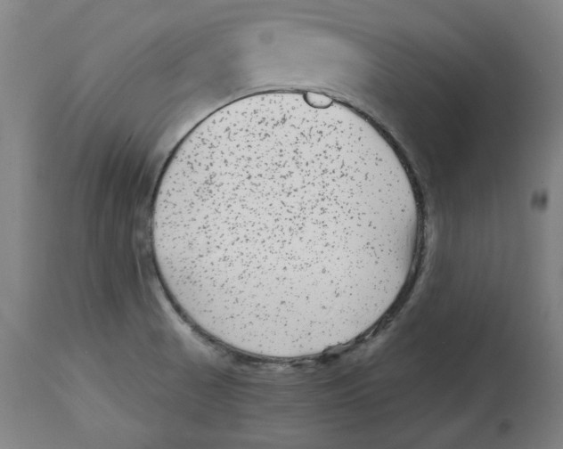 X0000114441521200911131504