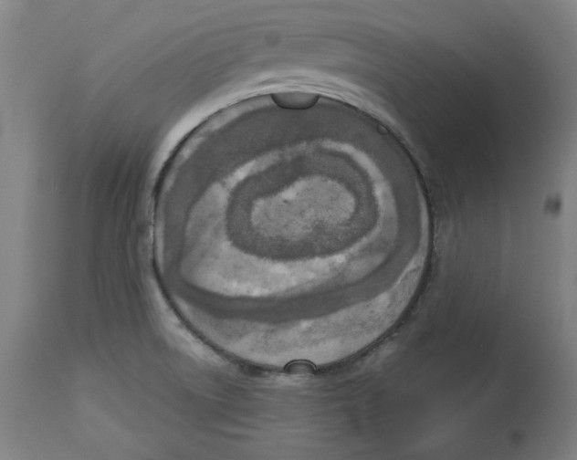 X0000114441522200911131504