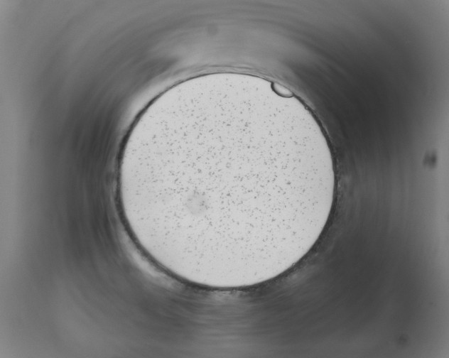 X0000114441523200911131504