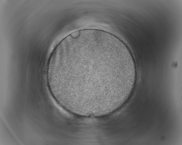 X0000114441525200911131504