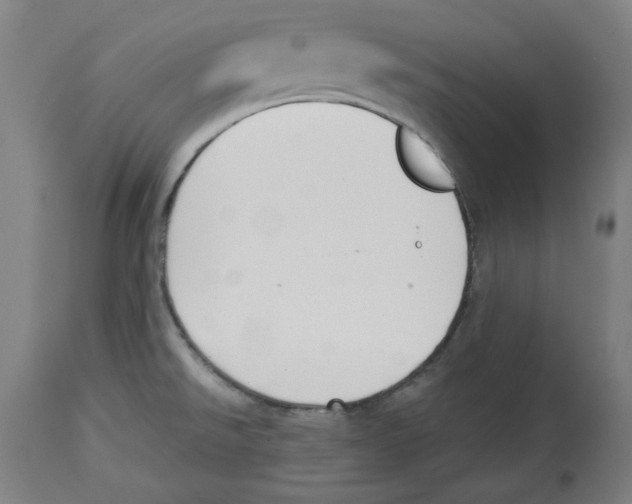 X0000114441526200911131504