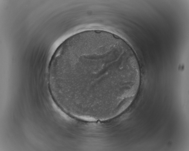 X0000114441527200911131504